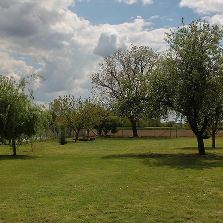 Das Blaue Haus Guesthouse - Kovacshida Zewnętrze zdjęcie