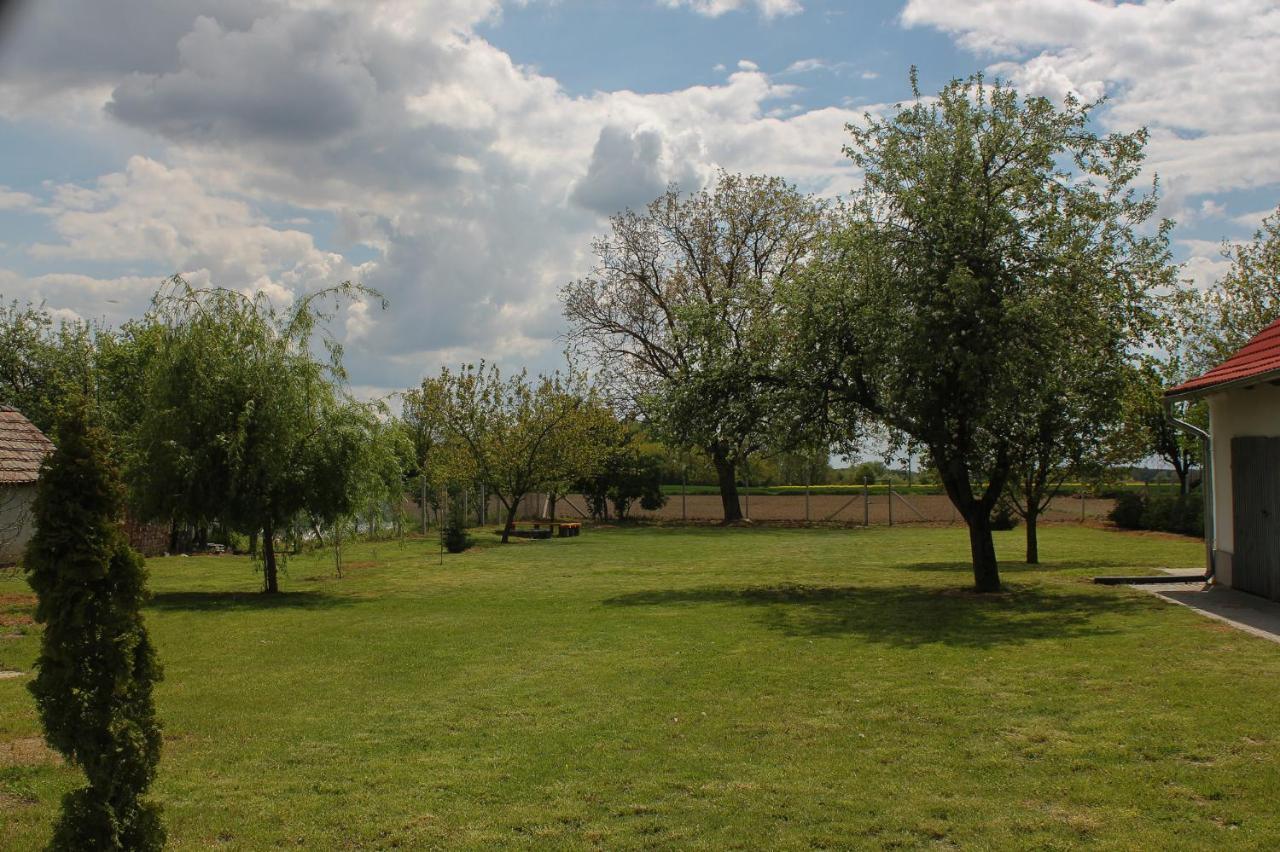 Das Blaue Haus Guesthouse - Kovacshida Zewnętrze zdjęcie